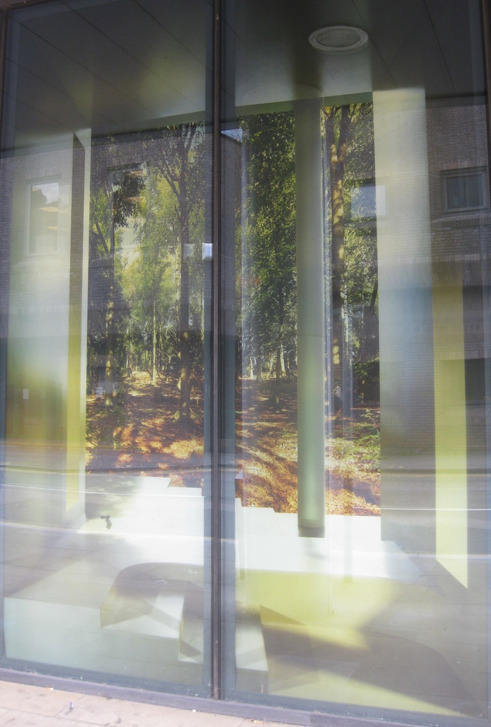 Lightbox consisting of an illusory architecturally framed inlet into a woodland scene