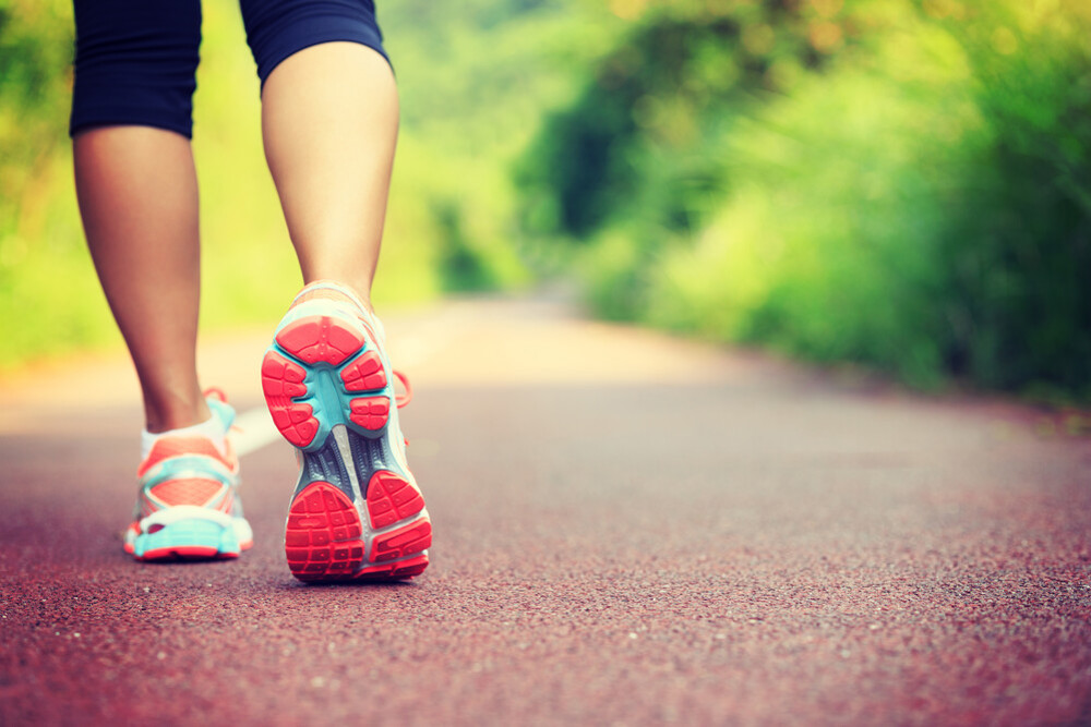 Trainers Walking On Path