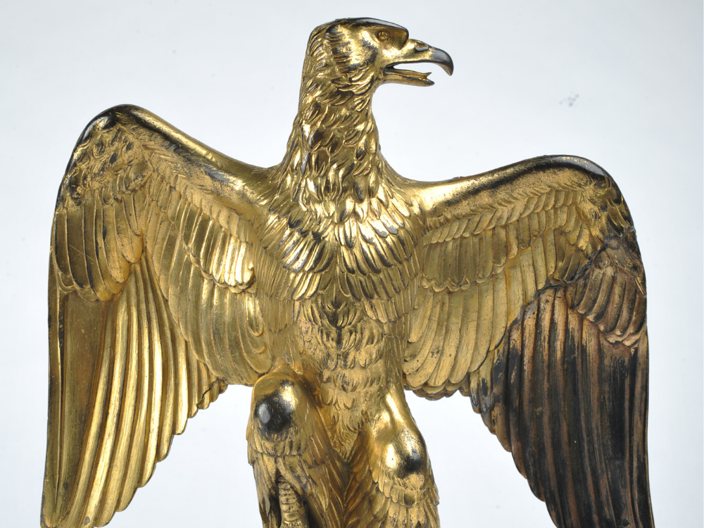 Salamanca Eagle