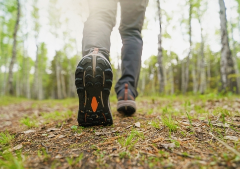 Low angle view of person's walking shoes, walking in wooded area