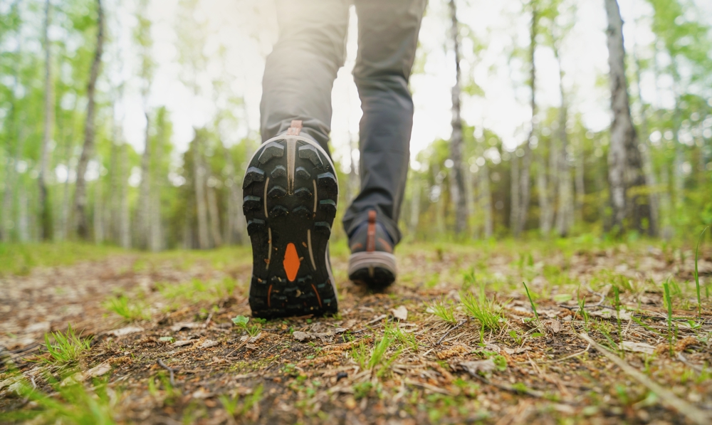 Low angle view of person's walking shoes, walking in wooded area