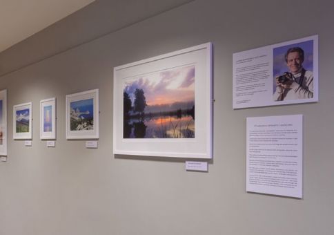 Various photographs on display on the Gallery Wall of Chelmsford Museum. 