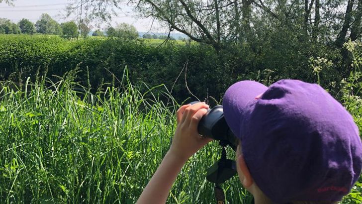 A child with a purple hat holds up binoculars and looks up at the trees. 