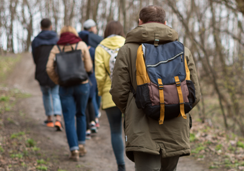 Group of people walking along woodland trail