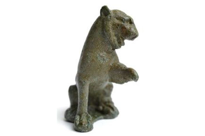 Copper alloy tiger