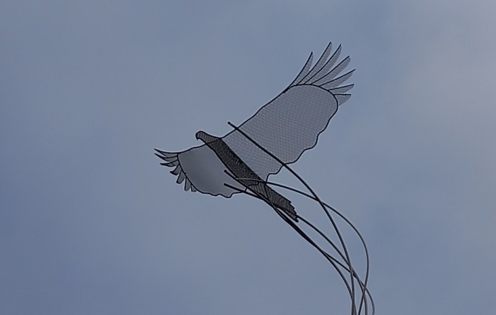 Eagle sculpture made from stainless steel mesh and outline