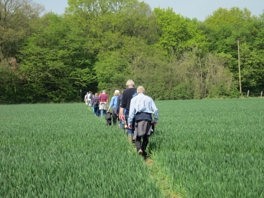 People walking through field