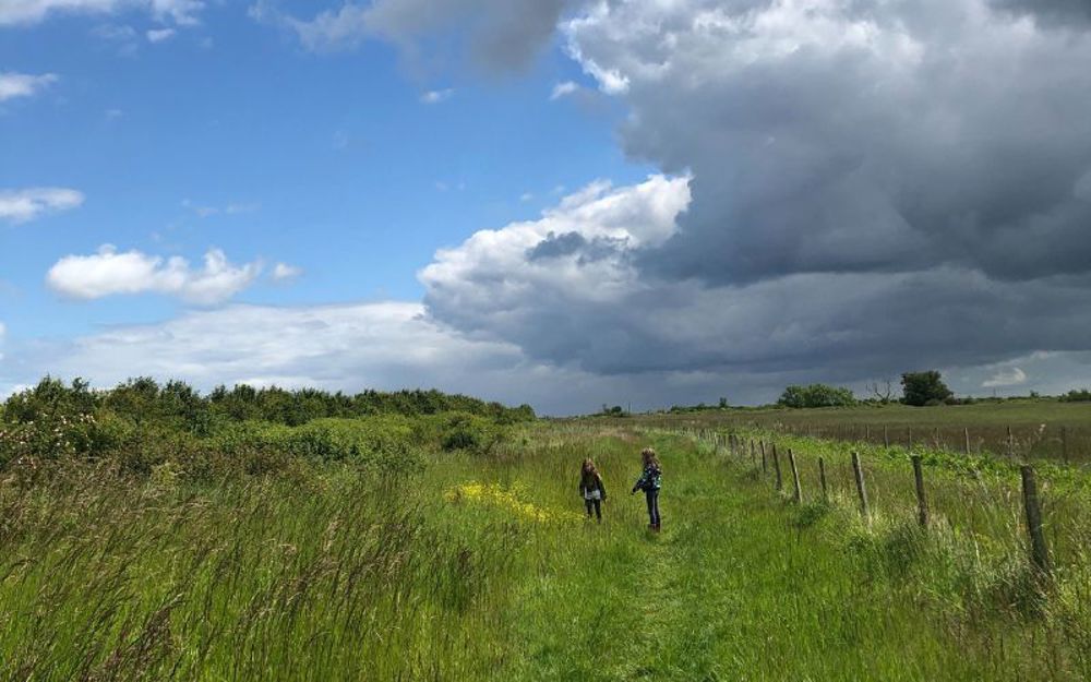 Two young children walking in a green field. 