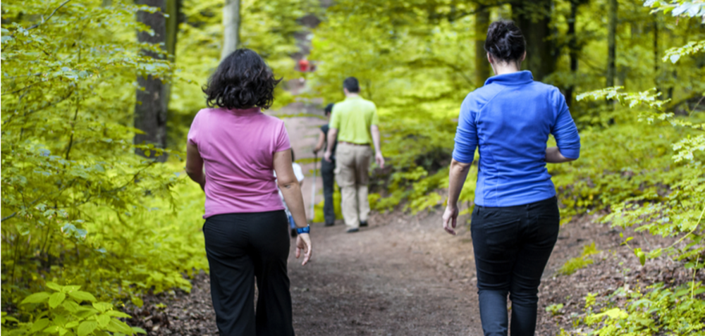 Group walking along trail through woodland