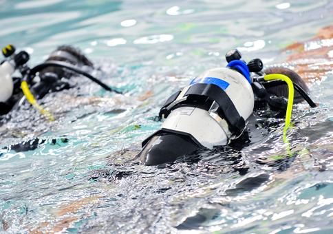 Scuba divers underwater in swimming pool