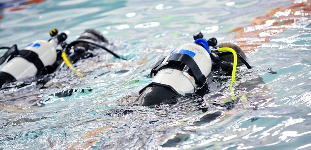 Scuba divers underwater in swimming pool