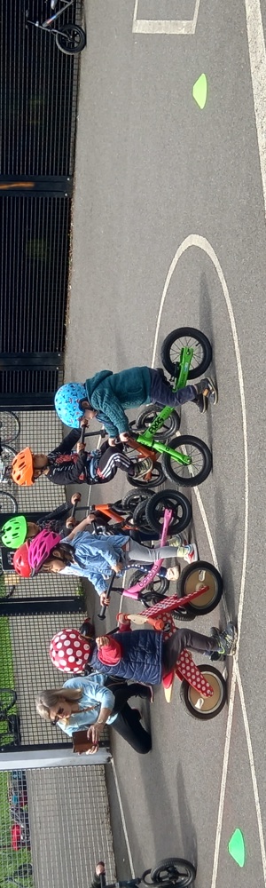 Group of small children learning to ride bikes